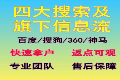 SEM投放策略优化案例分析