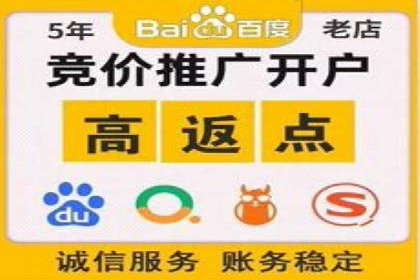 SEM服务案例：助力企业拓展海外市场